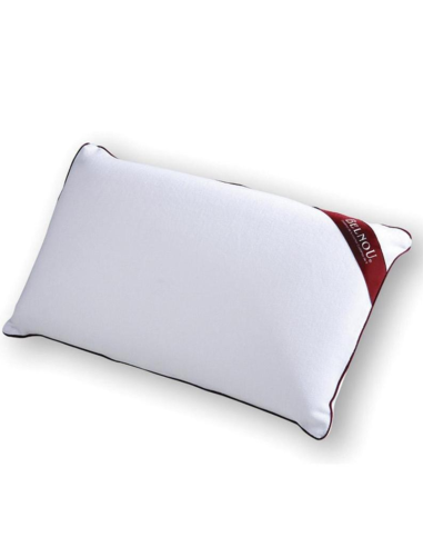 Almohada viscoelástica Belnou Aloe vera